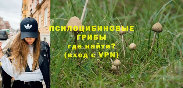 гидра Армянск