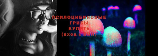 гидра Армянск