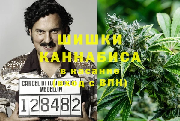 гидра Армянск